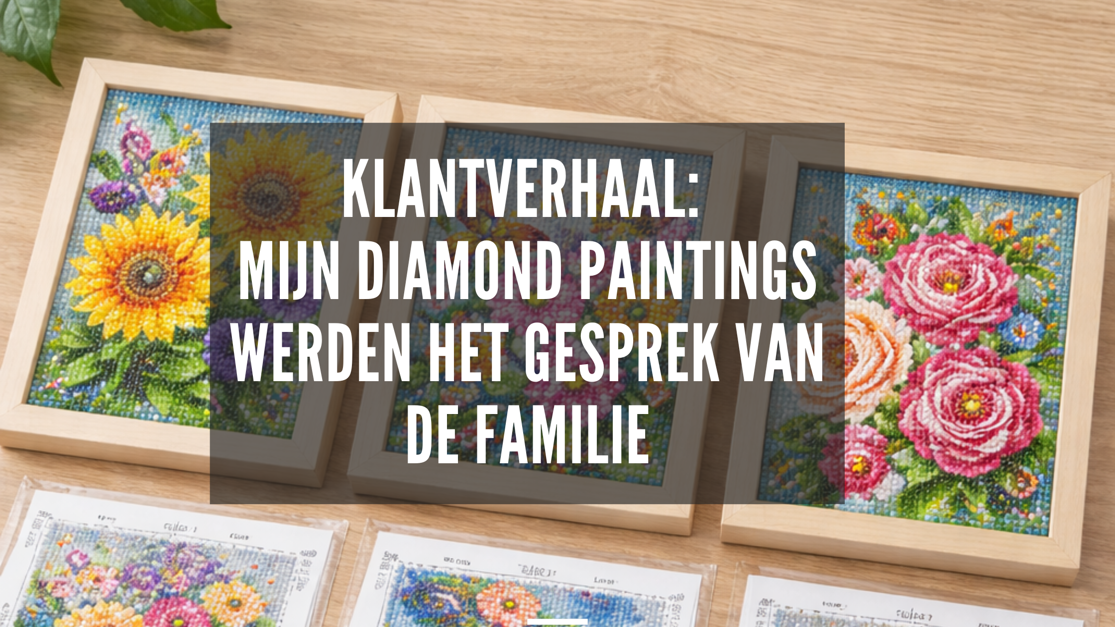 Klantverhaal: Mijn Diamond Paintings werden het gesprek van de familie