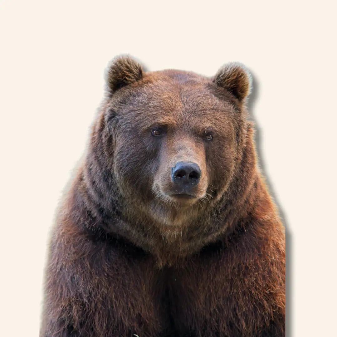 Beren Diamond Painting Planet