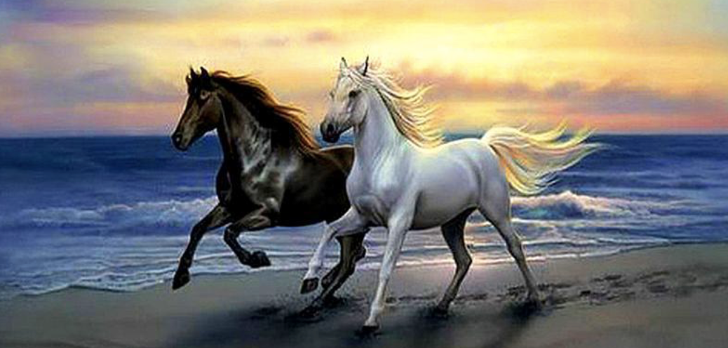 diamond painting met paarden