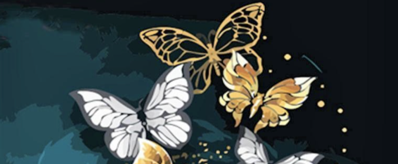 diamond painting met vlinders