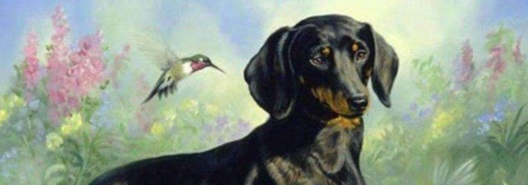 diamond painting met honden