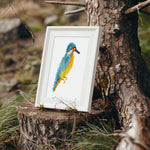 Vogels (set van 12) Diamond Painting Planet