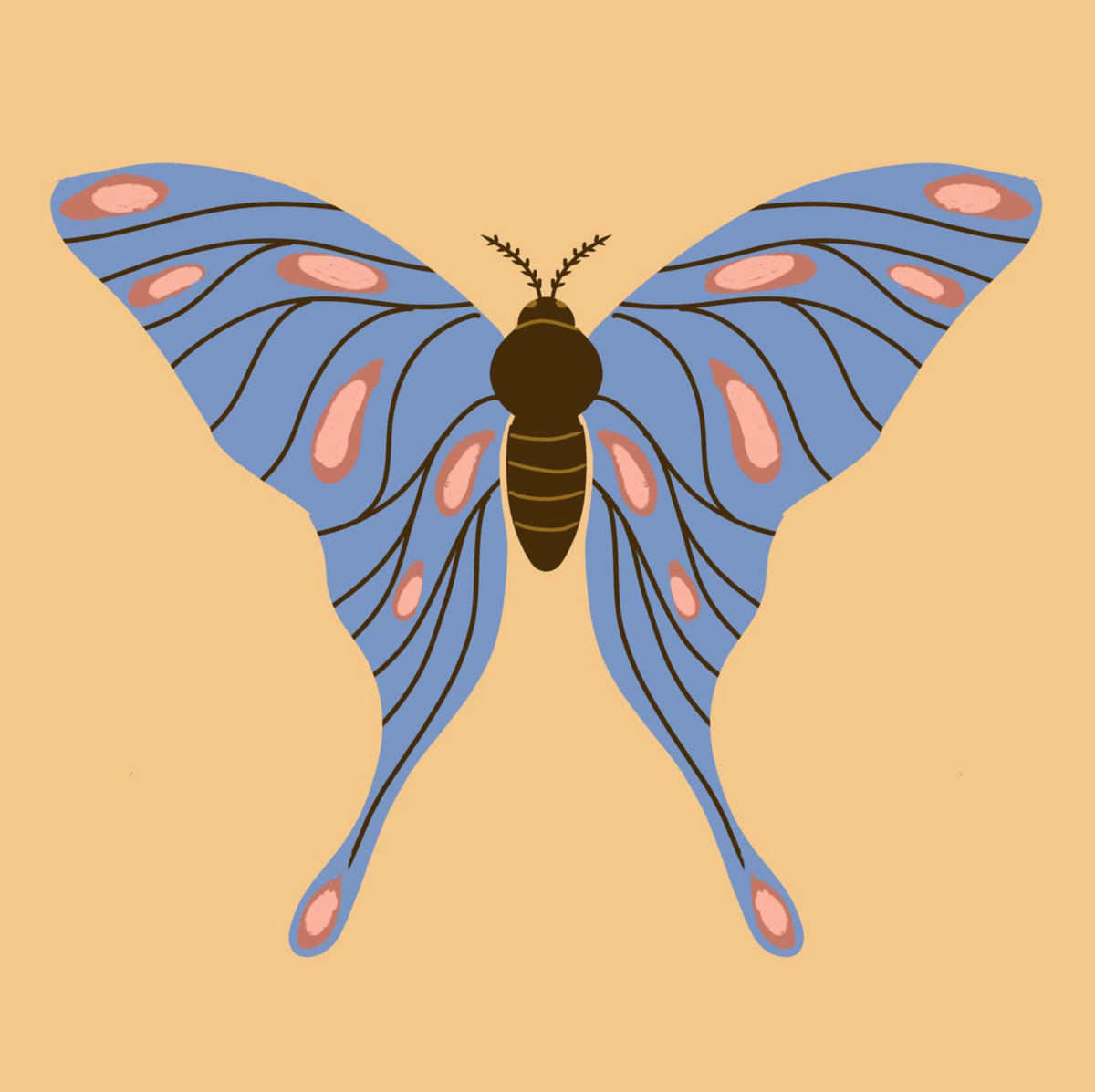 Proefpakket - Vlinder Diamond Painting Planet