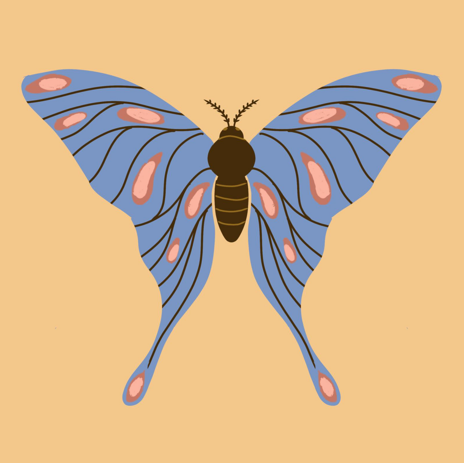 Proefpakket - Vlinder Diamond Painting Planet