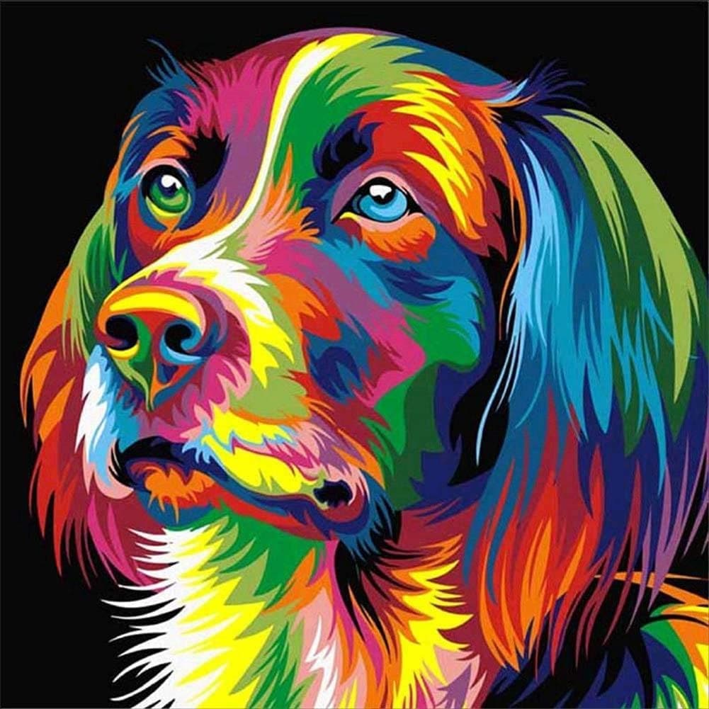 Kleurrijke hond Diamond Painting Planet