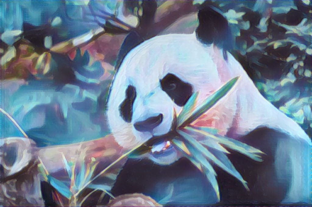 Kleurrijke panda Diamond Painting Planet