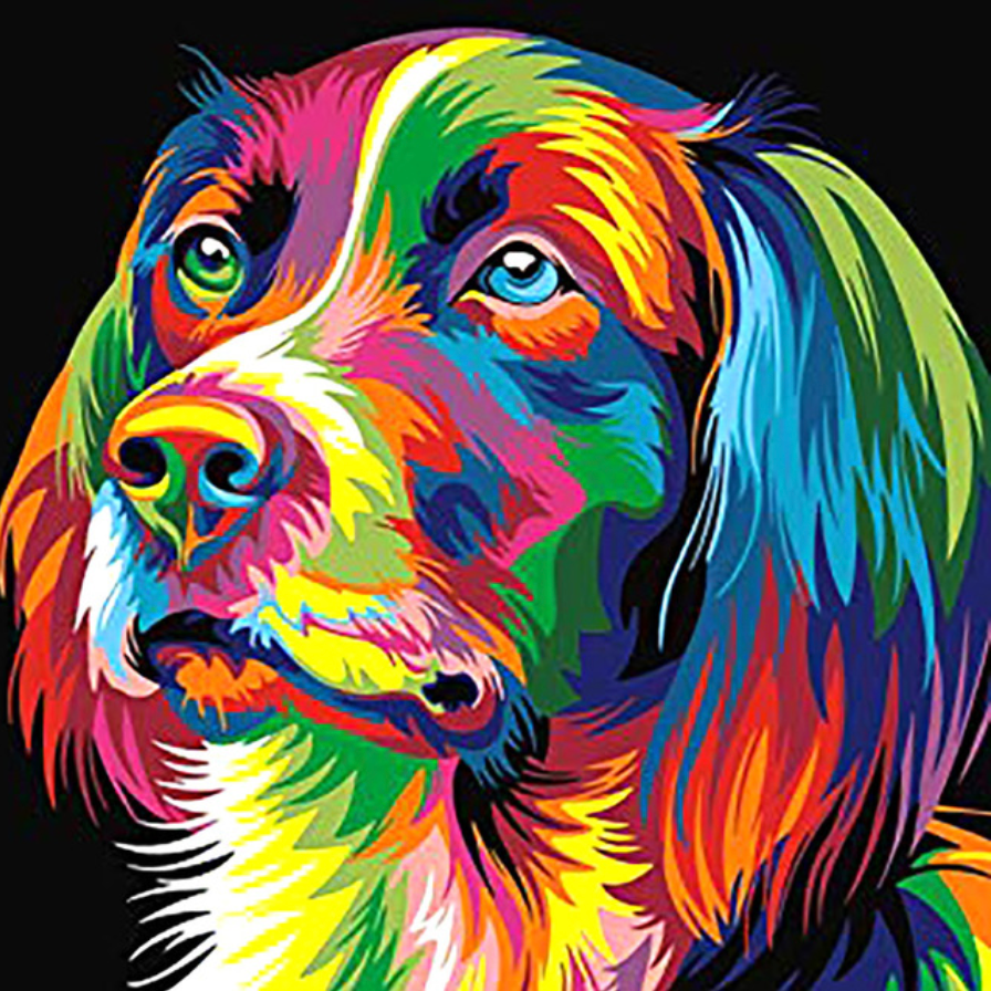 Proefpakket - Kleurrijke hond Diamond Painting Planet
