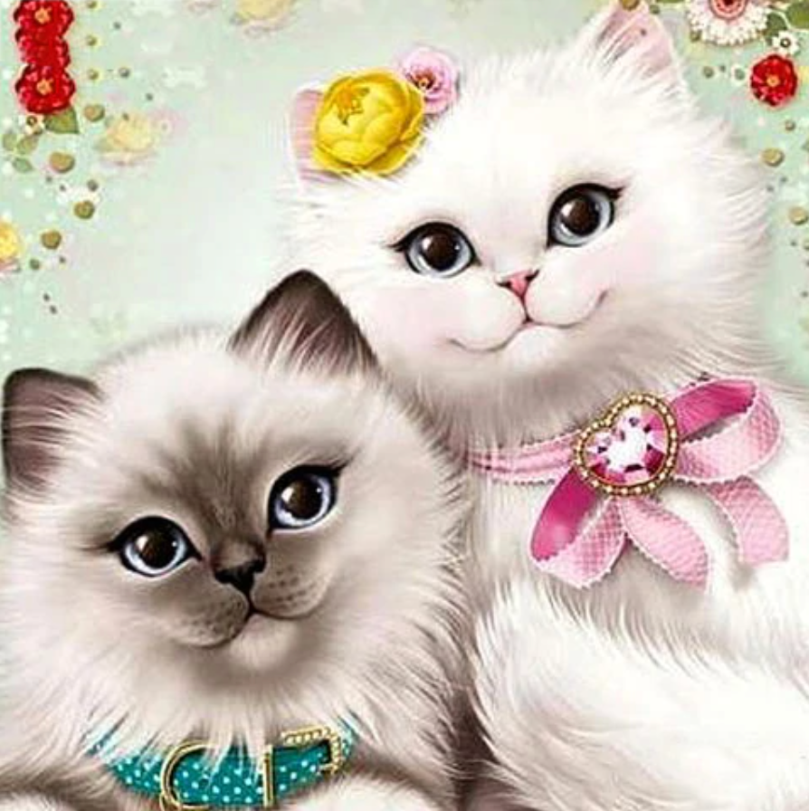 Proefpakket - Witte kittens Diamond Painting Planet