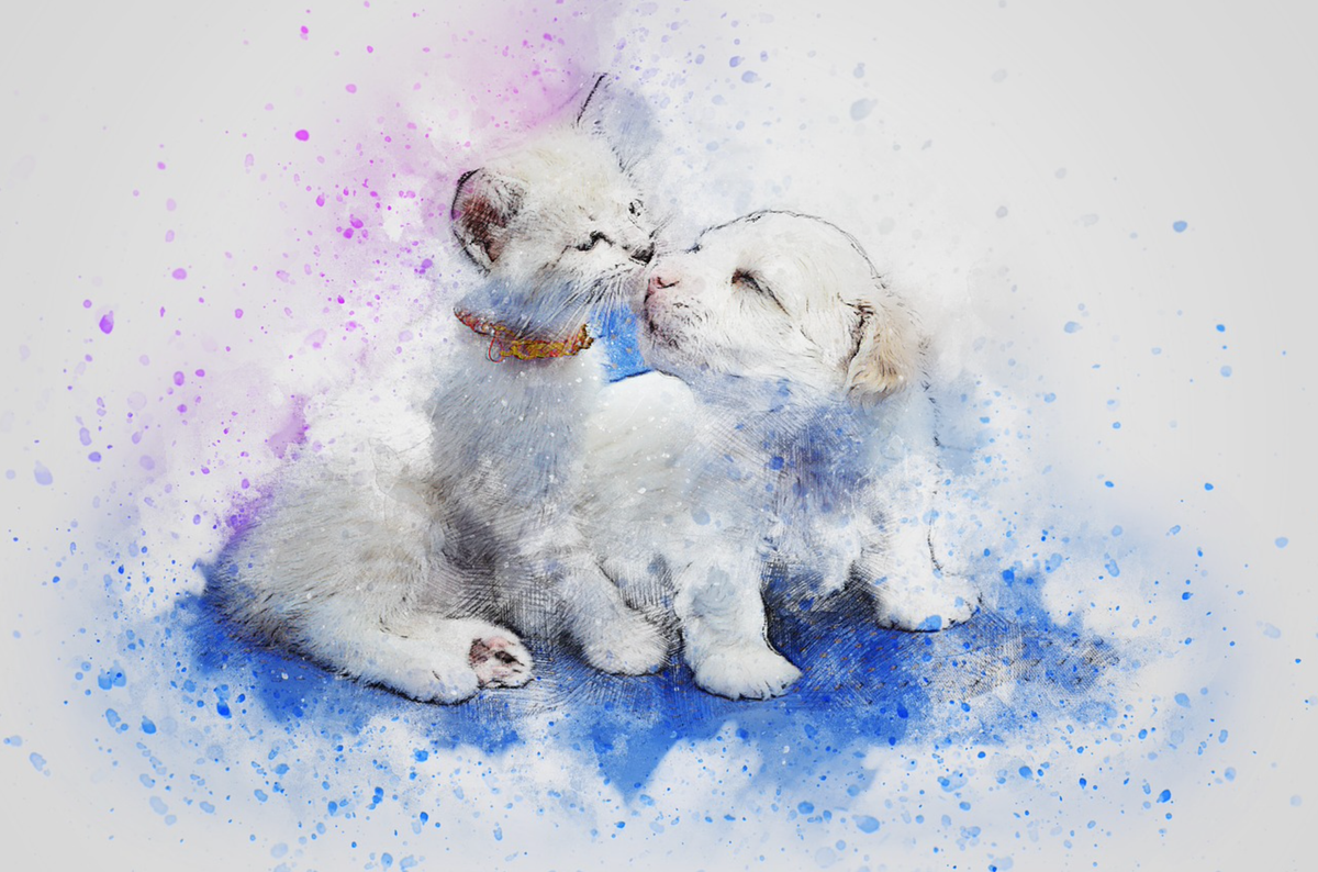 Liefde tussen pup en kitten Diamond Painting Planet