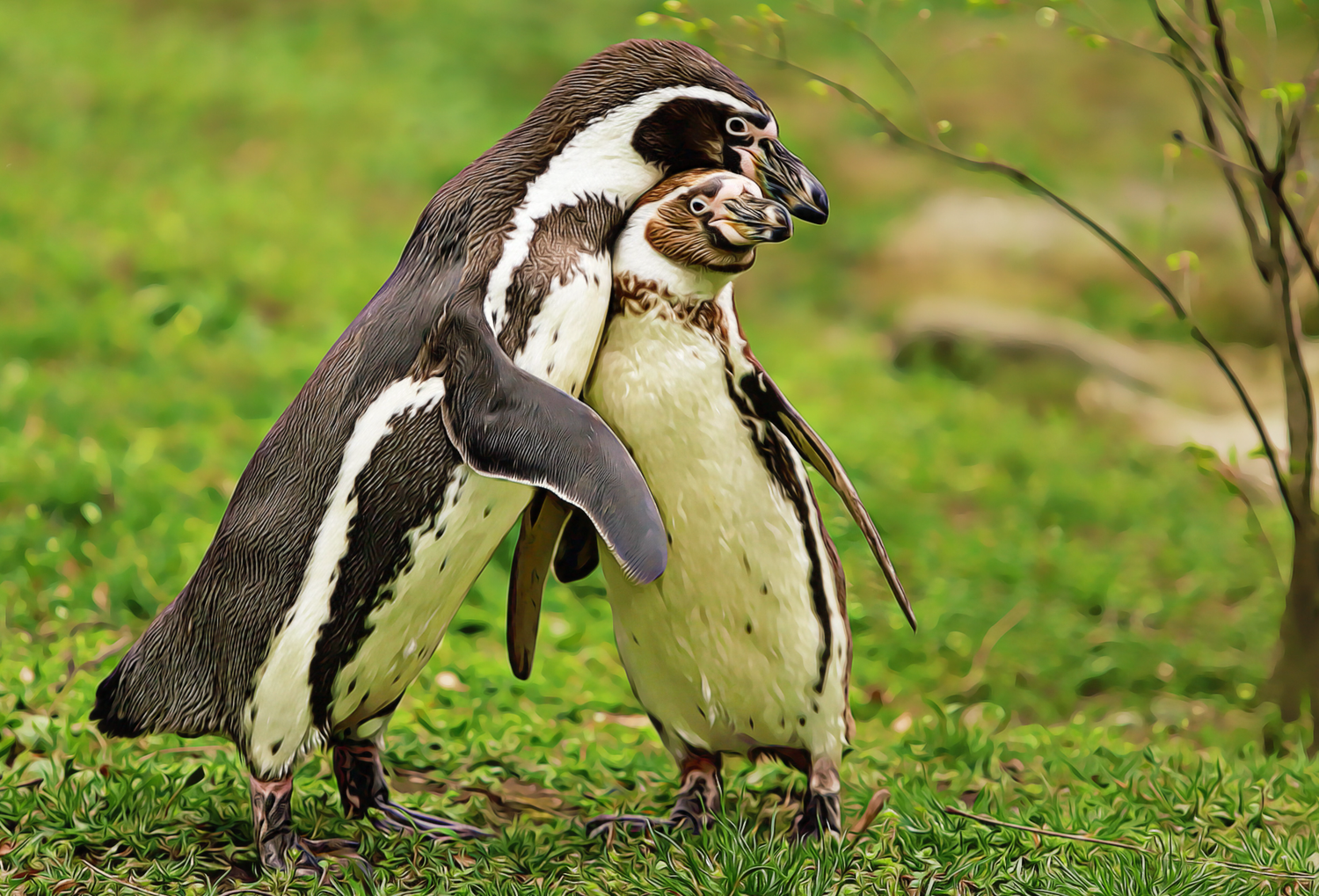 Pinguin's Diamond Painting Planet