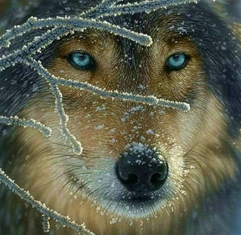Wolf Diamond Painting Planet