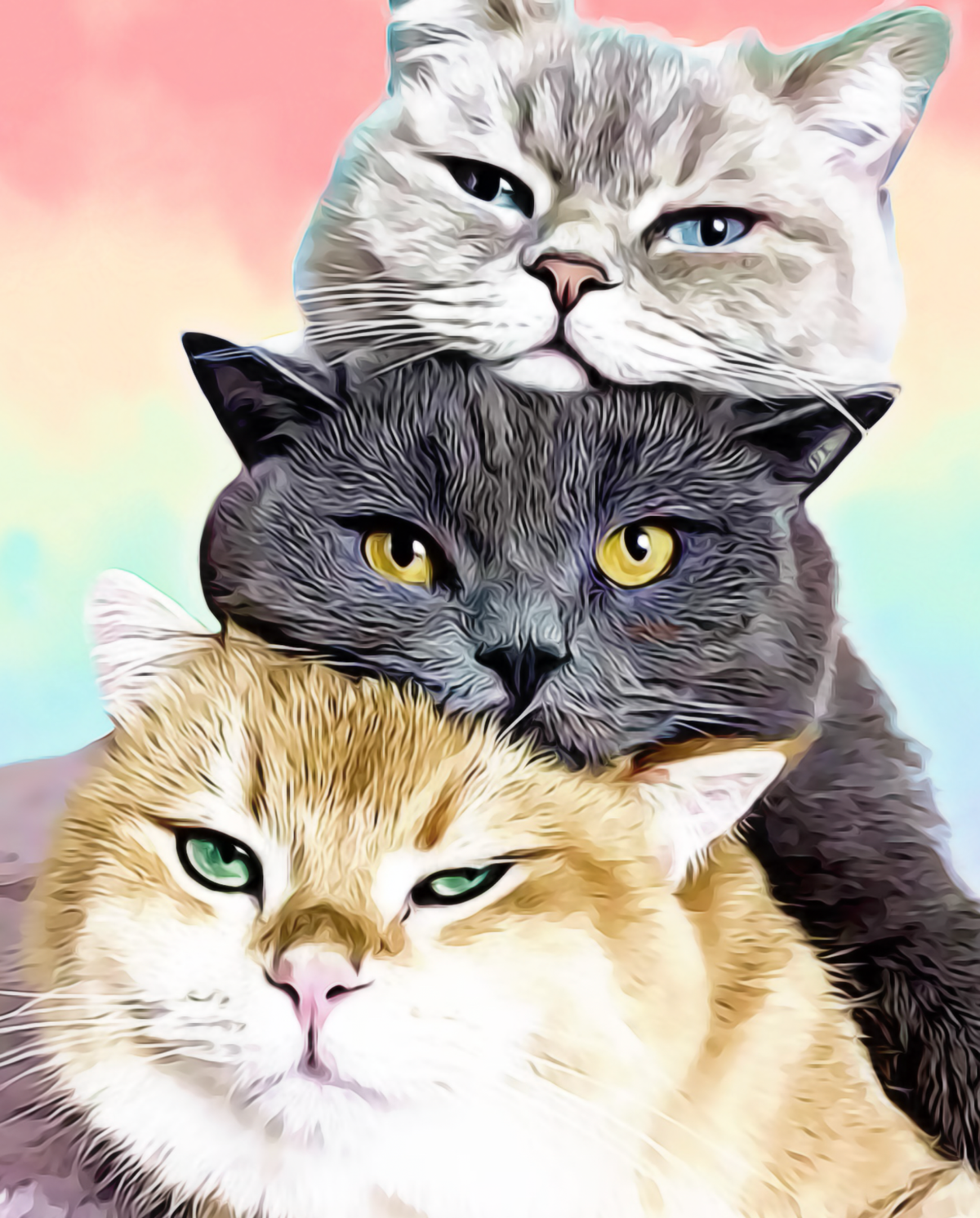 Drie katten Diamond Painting Planet