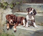 Honden op de stoep Diamond Painting Planet