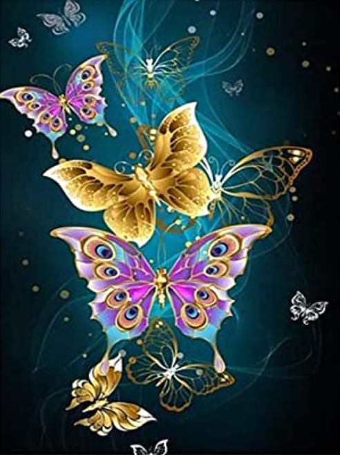 Regenboog vlinders 30x40cm (Morgen in huis) Diamond Painting Planet