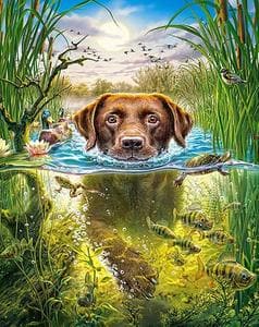 Hond in water 40x50cm (Morgen in huis) Diamond Painting Planet
