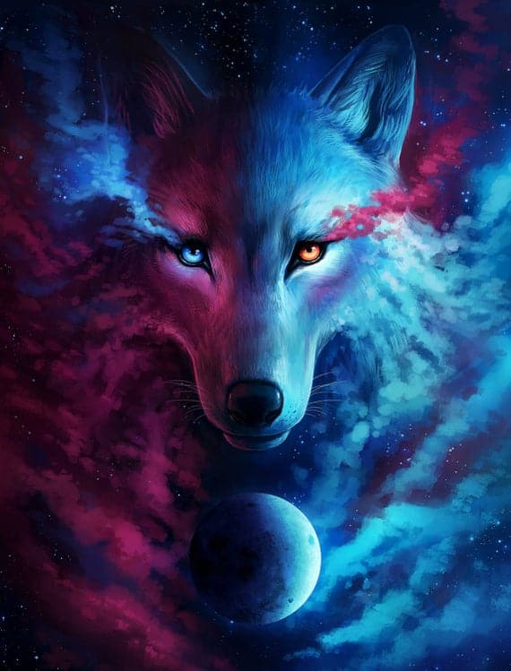 Kleurrijke wolf Diamond Painting Planet