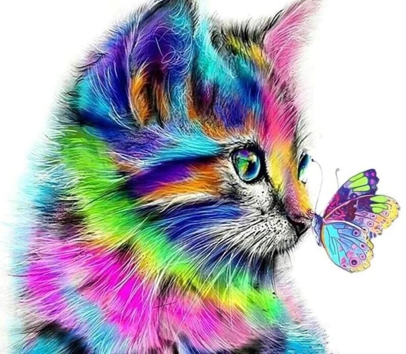 Kleurrijke kitten met vlinder Diamond Painting Planet